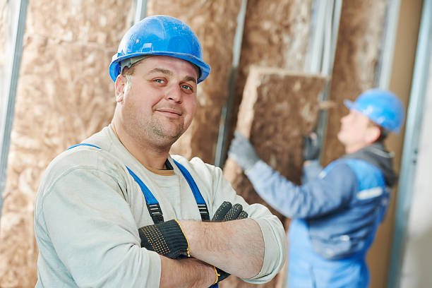 Best Attic Insulation Installation  in Slaton, TX